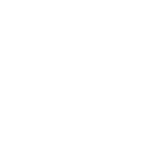 VARCARS-лого1